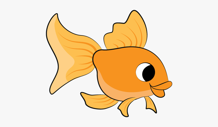 Goldfish, Transparent Clipart