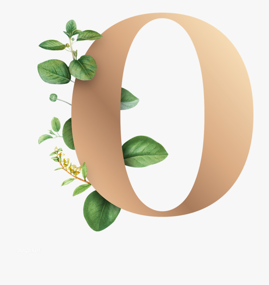Letter O Png - Botanical Letter Fonts Png, Transparent Clipart