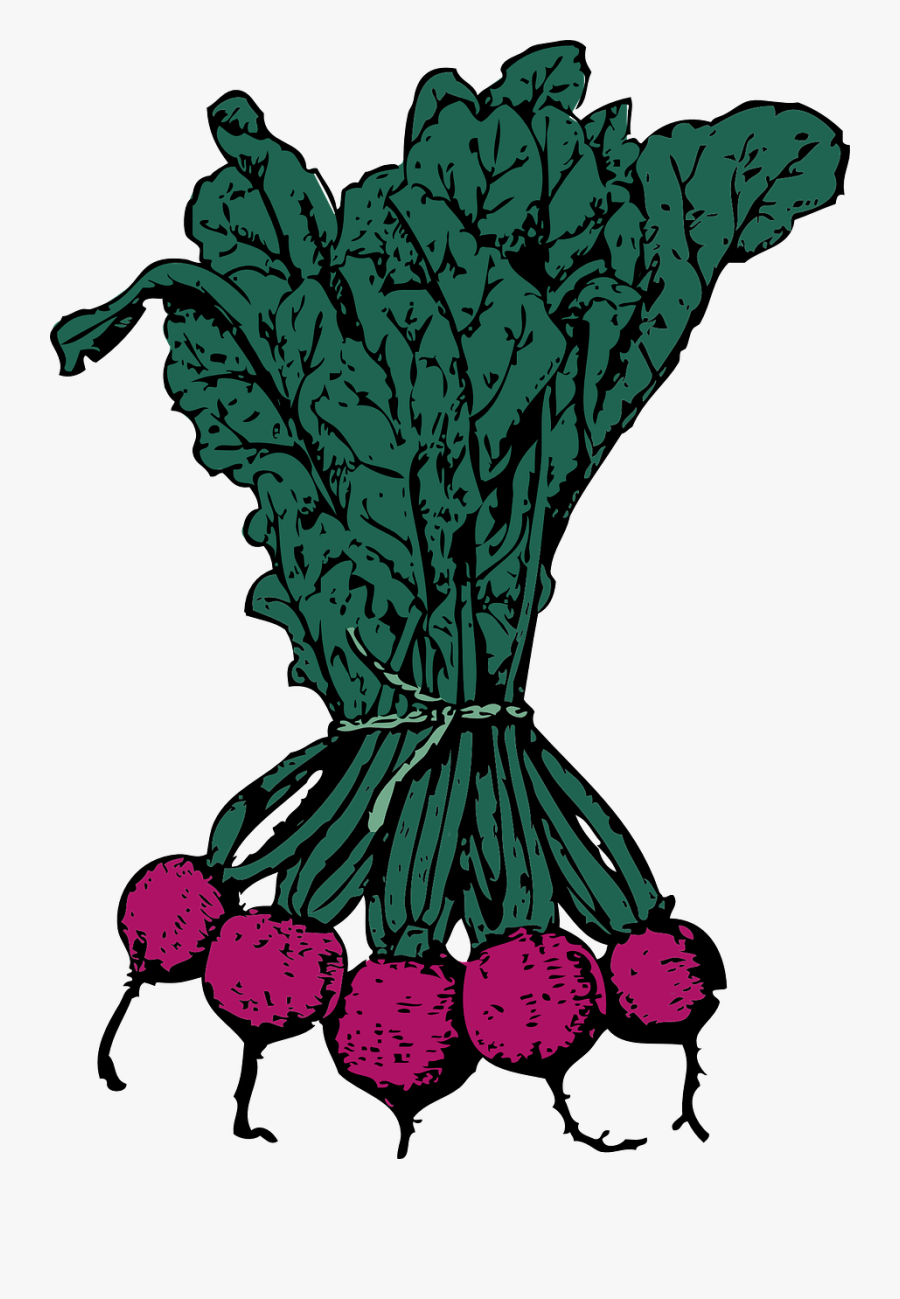 Beets Clip Art, Transparent Clipart