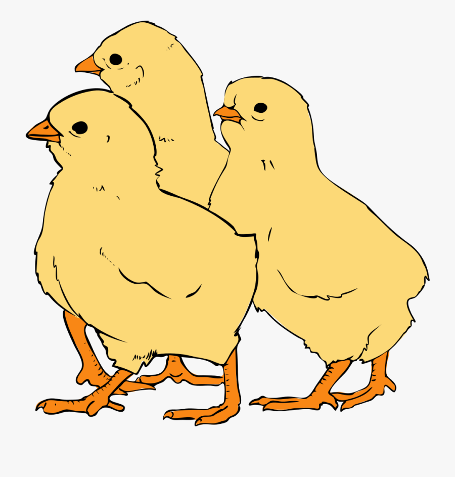 Picture Freeuse Download File Svg Wikipedia Filechicks - Clipart Image Of Chicks, Transparent Clipart
