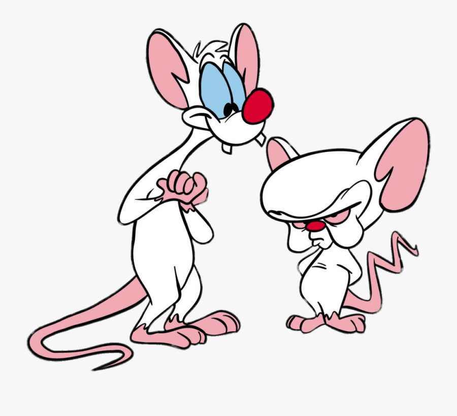 Pinky And The Brain - Pinky And The Brain Cartoon, Transparent Clipart