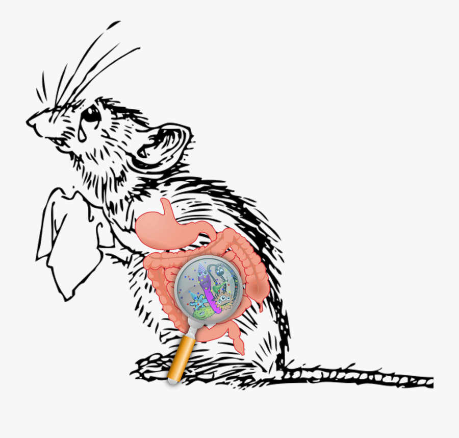 Brain Clipart No Back - Sad Mouse Png, Transparent Clipart