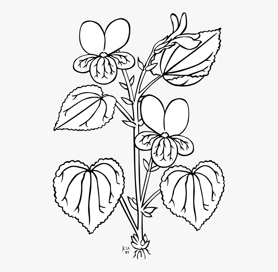 Bella Clipart Free For Download - Plants Clipart Black And White, Transparent Clipart