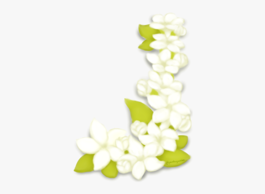 Planting Clipart Sampaguita - Jasmine, Transparent Clipart