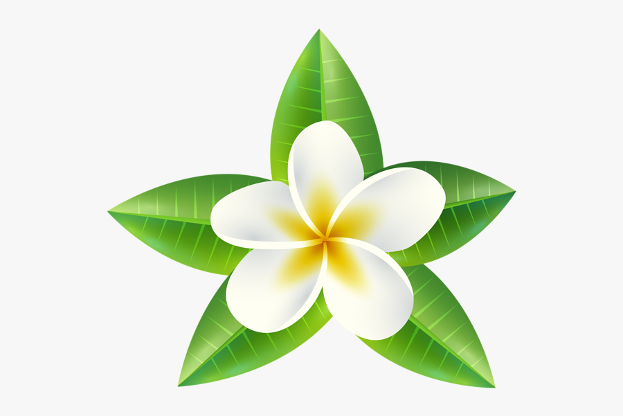Tropical Flower Png Clip Art Image - Tropical Flowers Clipart Free, Transparent Clipart