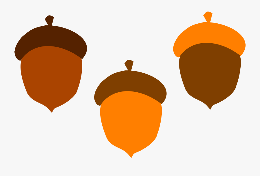 Eikel, Brown, Val, Voedsel, Boom, Orange, Eekhoorn - Acorns Clipart, Transparent Clipart