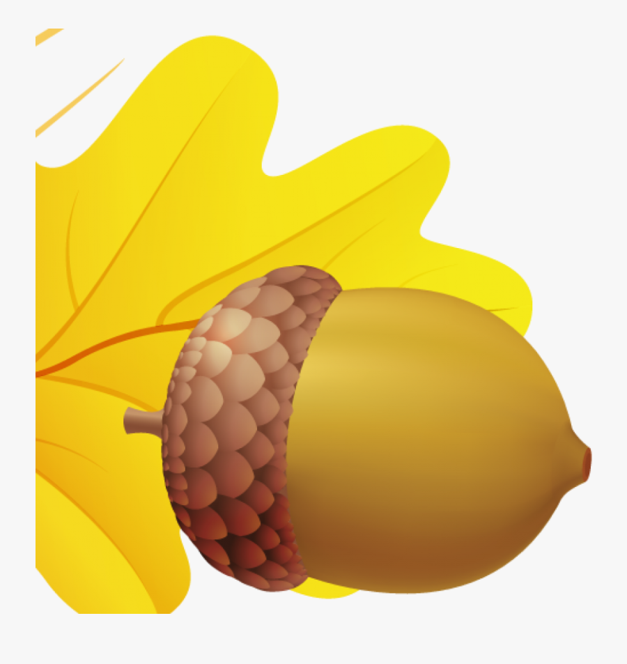 Acorn Png Image - Желудь На Прозрачном Фоне, Transparent Clipart