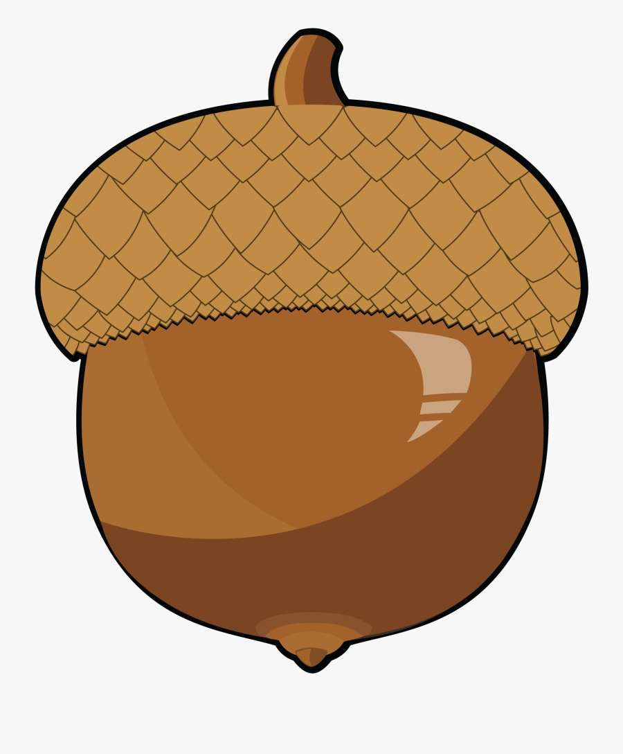 Acorn Clipart Food - Clip Art, Transparent Clipart