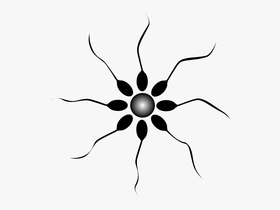 Sperm Cell Silhouette Around Egg, Transparent Clipart
