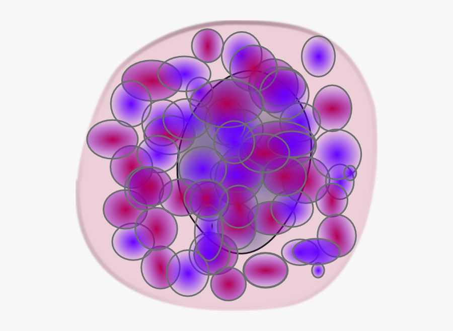 Basofilos Png, Transparent Clipart