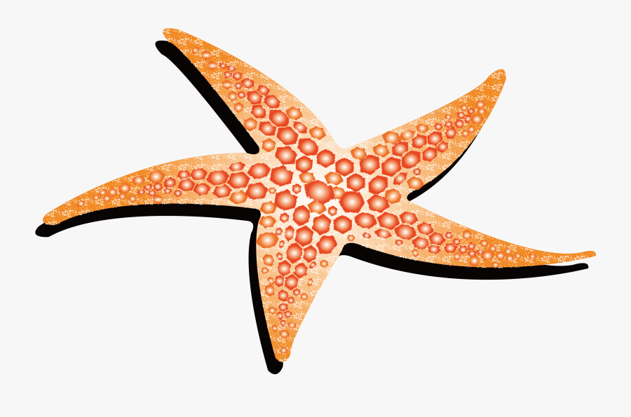 Animation Yellow Transprent Png - Animated Starfish Png, Transparent Clipart