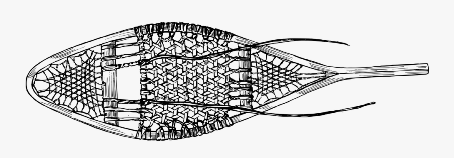 Snowshoe Drawing, Transparent Clipart