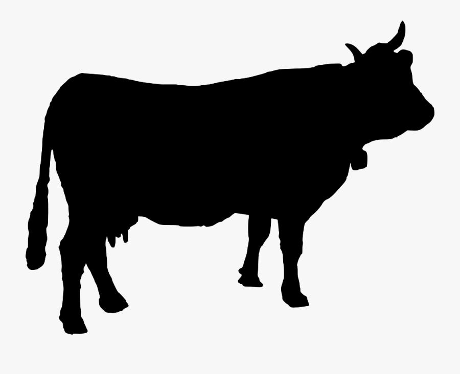 Beef Cattle Angus Cattle Silhouette Clip Art - Cow Silhouette Vector, Transparent Clipart