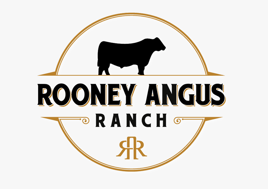 Rooney Angus Ranch - Angus Ranch Logo, Transparent Clipart