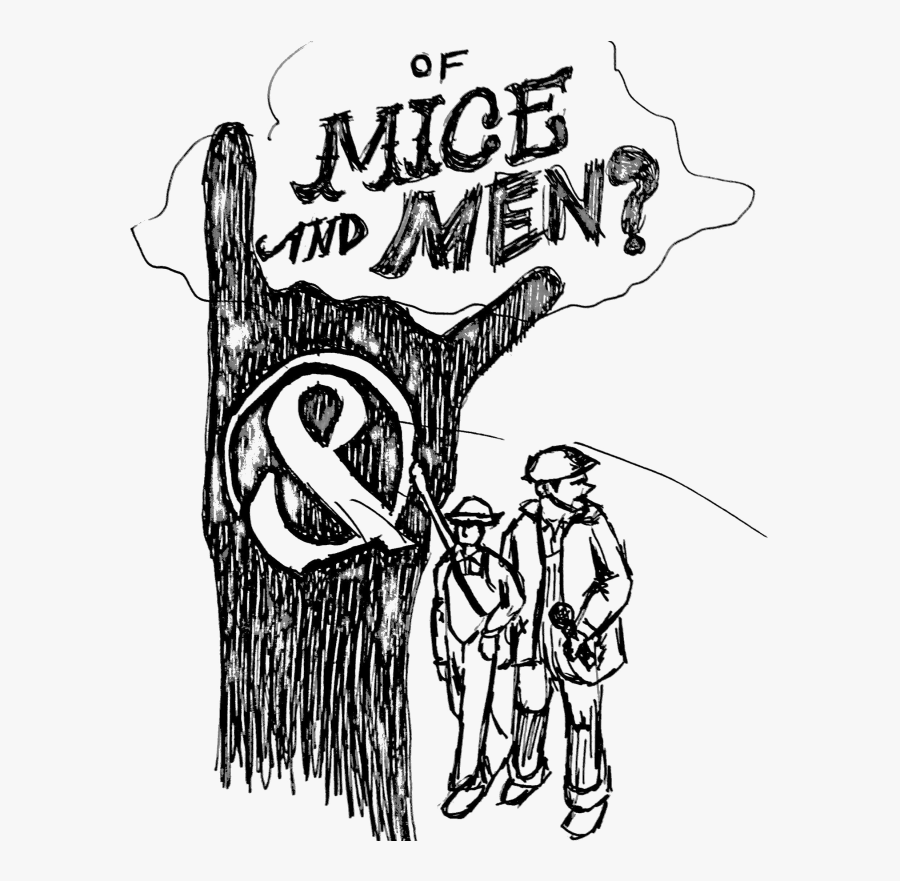 Sketch, Transparent Clipart