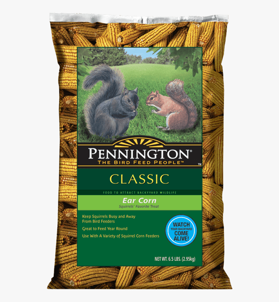 Maize, Transparent Clipart