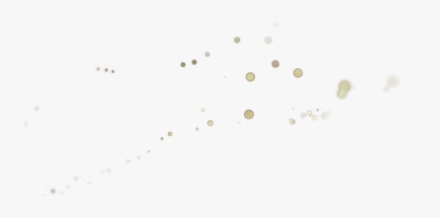 Circle, Transparent Clipart