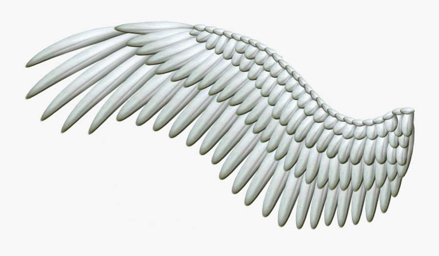 Angel Wing Clip Art - One Angel Wing Png, Transparent Clipart