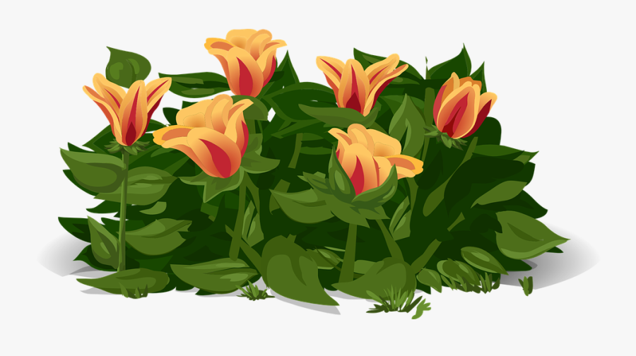 Plant Clipart Flowering Plant - Background Kids Plants, Transparent Clipart