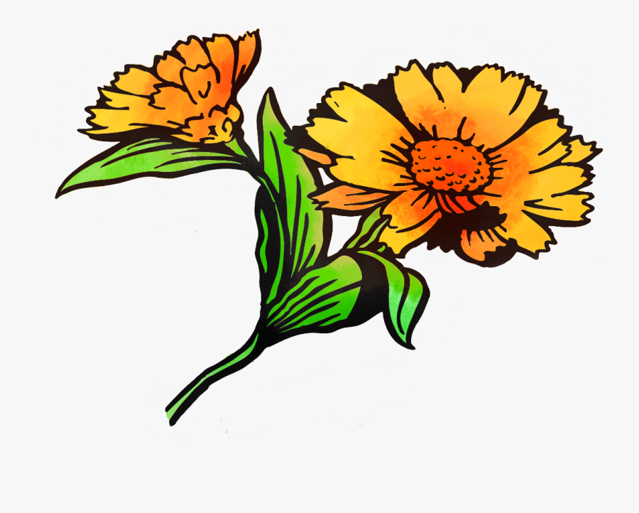 Image - English Marigold, Transparent Clipart