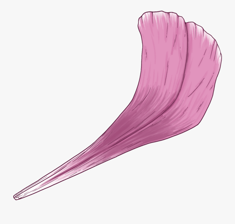 Illustration, Transparent Clipart