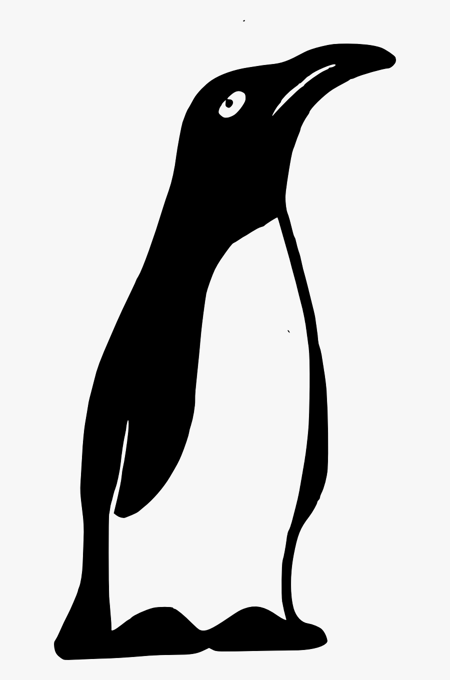 Emperor Penguin Penguin Animal Free Photo - Cute Penguin Clipart Black And White, Transparent Clipart