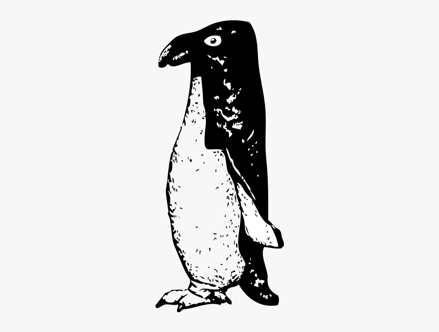 Funky Penguin - Portable Network Graphics, Transparent Clipart