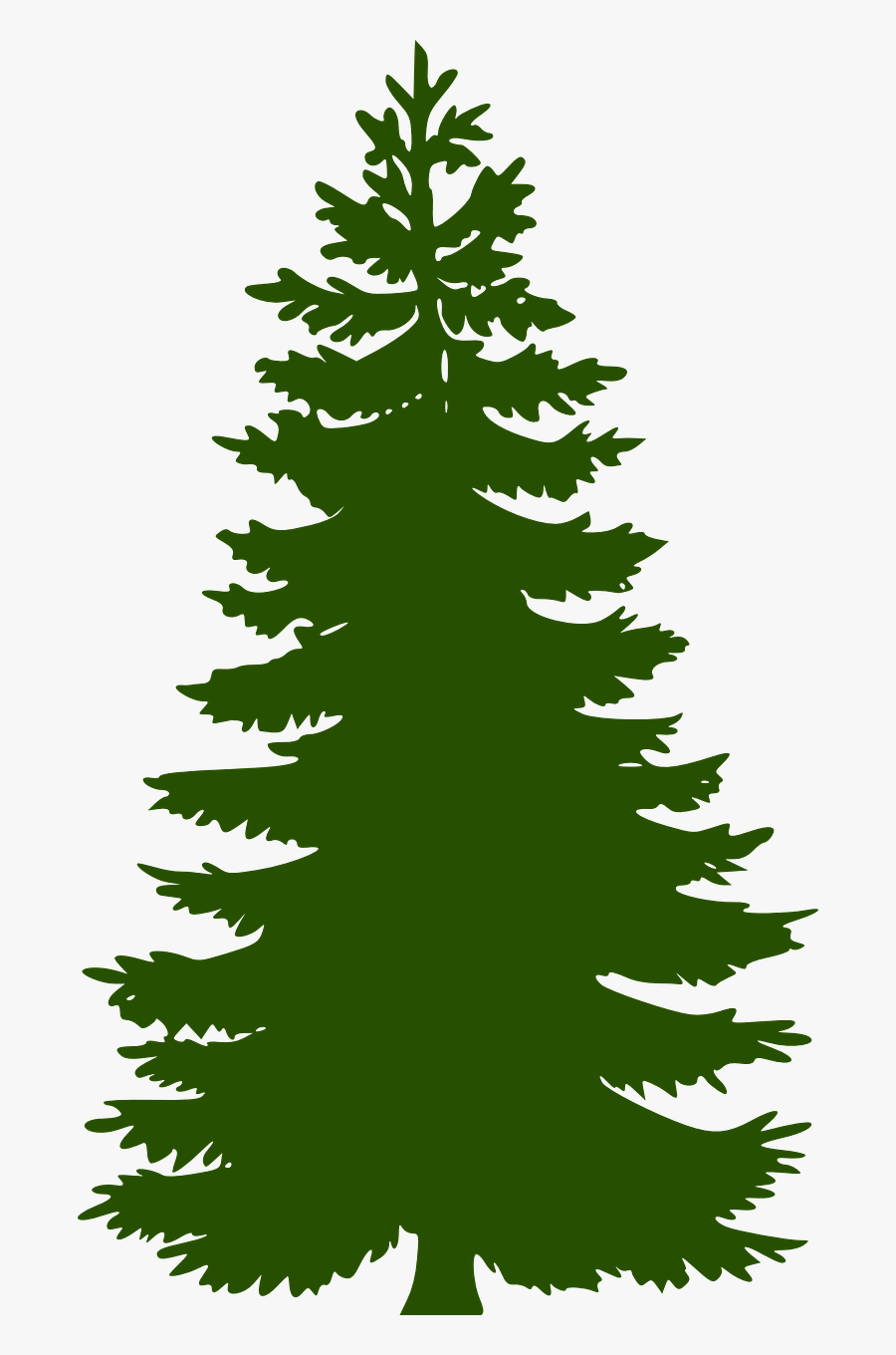 Pine Tree Vector Png, Transparent Clipart