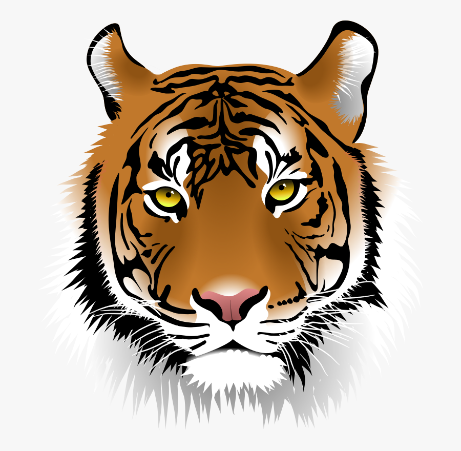 Transparent Tiger Face Clipart, Transparent Clipart
