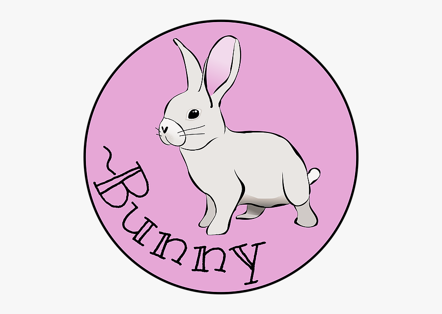 Domestic Rabbit, Transparent Clipart