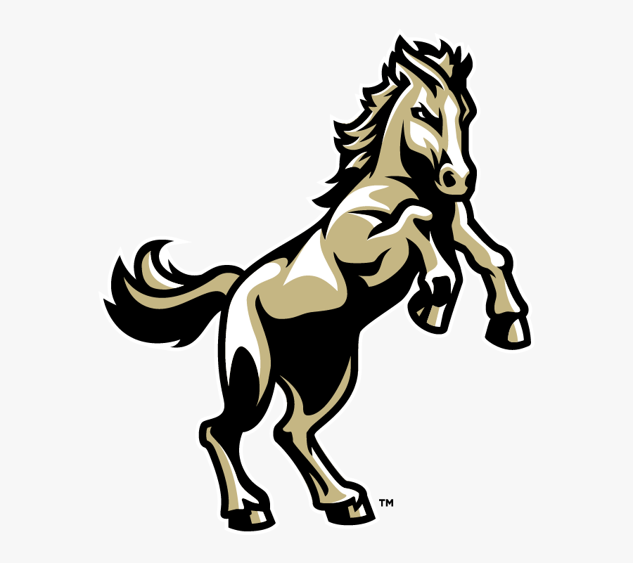 Bronco - Illustration, Transparent Clipart