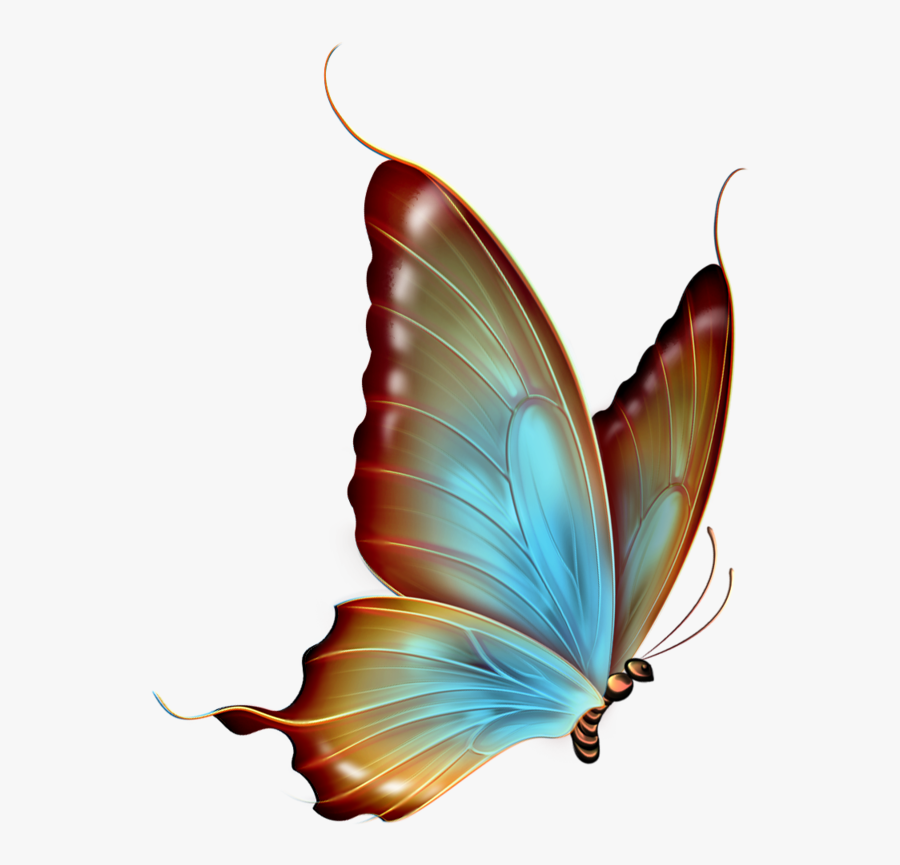 ‿✿⁀butterflies‿✿⁀ Blue Butterfly Tattoo, Butterfly - Transparent Background Butterfly Clipart, Transparent Clipart