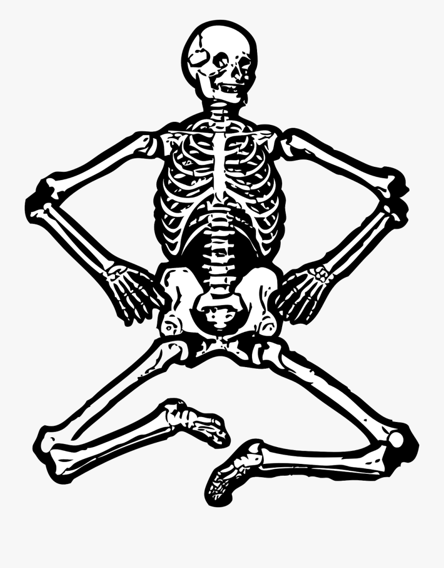 Skeleton Human Skeleton Bones Free Photo - Skeleton Clipart, Transparent Clipart