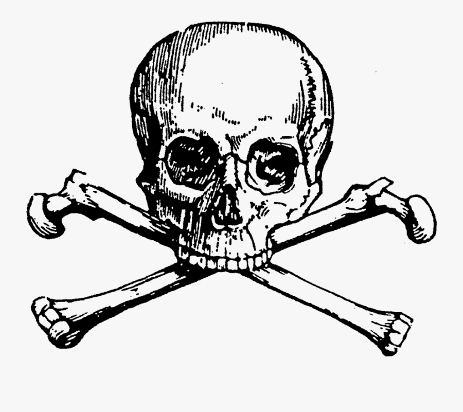 Skull And Bones Skull And Crossbones Art - Skull And Bones Png, Transparent Clipart