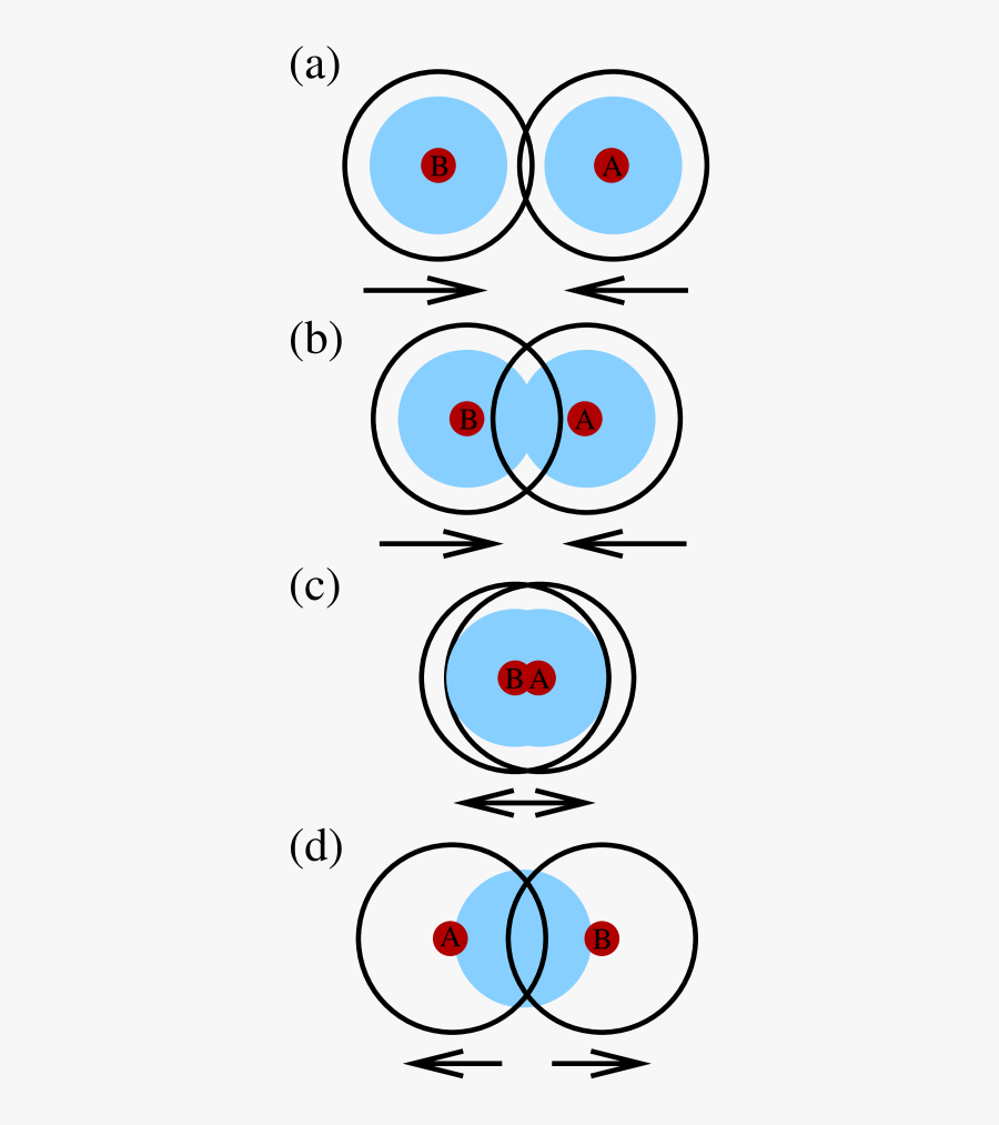 Circle, Transparent Clipart