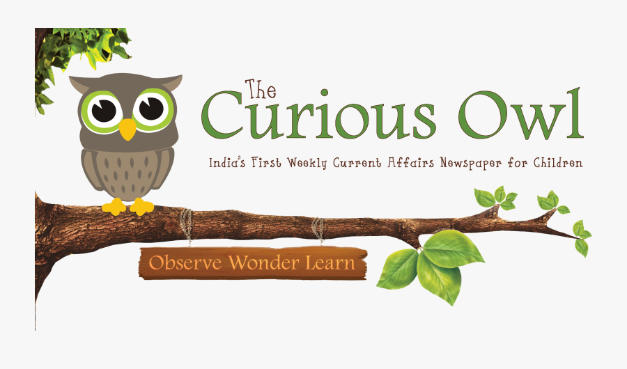 Logo - Curious Owl Newspaper, Transparent Clipart