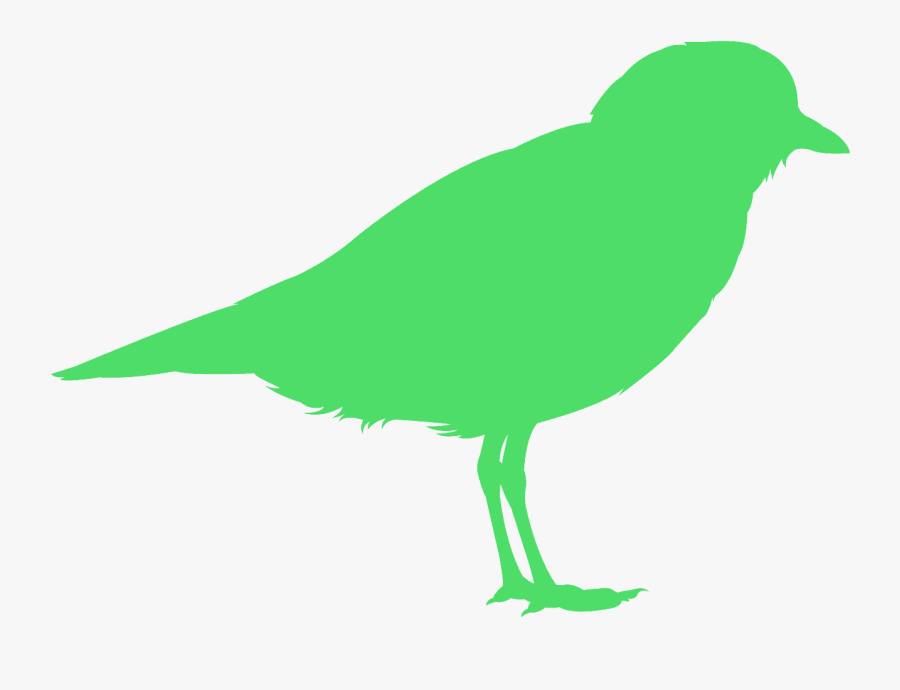 Songbird, Transparent Clipart
