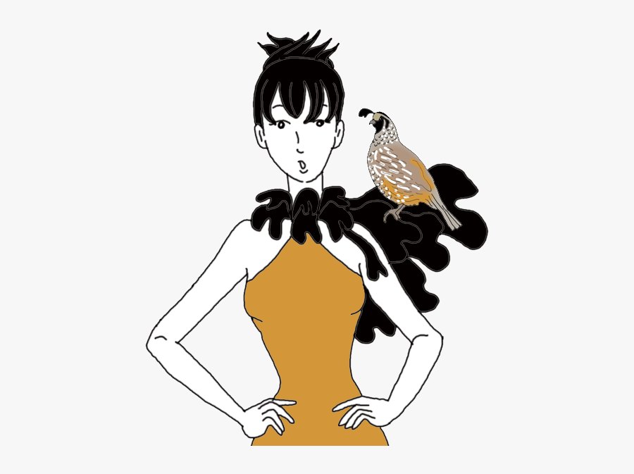 Quail - Illustration, Transparent Clipart