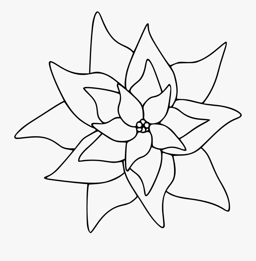 Poinsettia - Poinsettia Black And White, Transparent Clipart