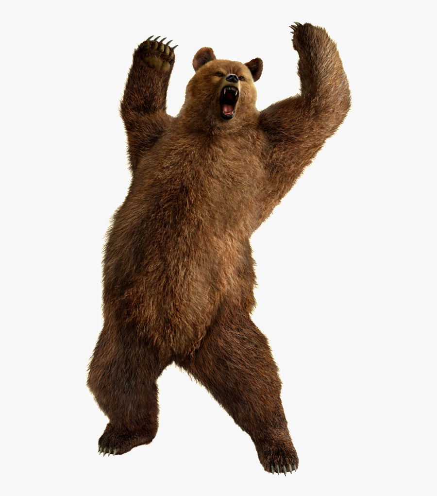 Free Download Of Bear Icon Clipart - Bear Png, Transparent Clipart