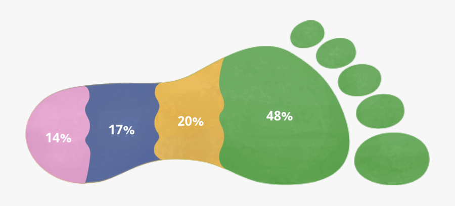 Graph Of Causes Of
 Vancouver"s Ecological Footprint - Ecological Footprint, Transparent Clipart
