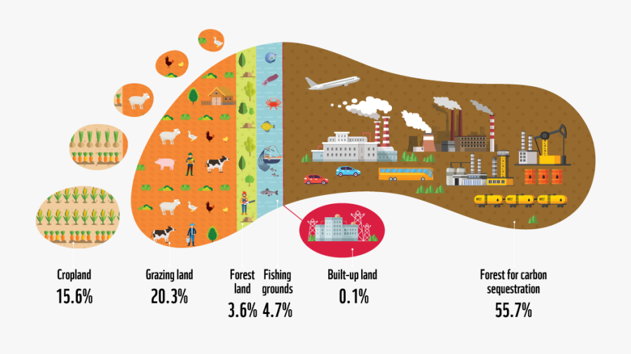Hong Kong Ecological Footprint, Transparent Clipart