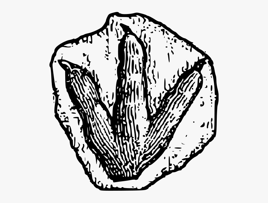 Dinosaur Footprint Png Images - Dinosaur Footprint Clipart, Transparent Clipart