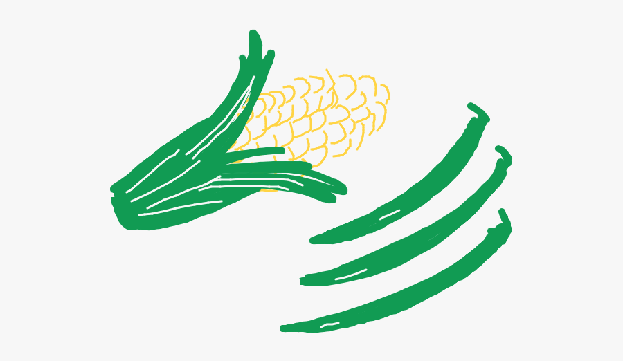 Drawing Of Sweetcorn And Runner Beans - Illustration, Transparent Clipart