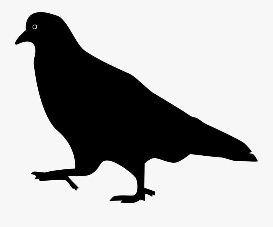 Wildlife,silhouette,crow - Walking Pigeon Silhouette, Transparent Clipart