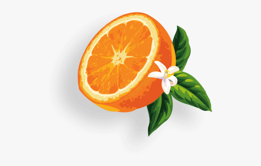 Clementine, Transparent Clipart