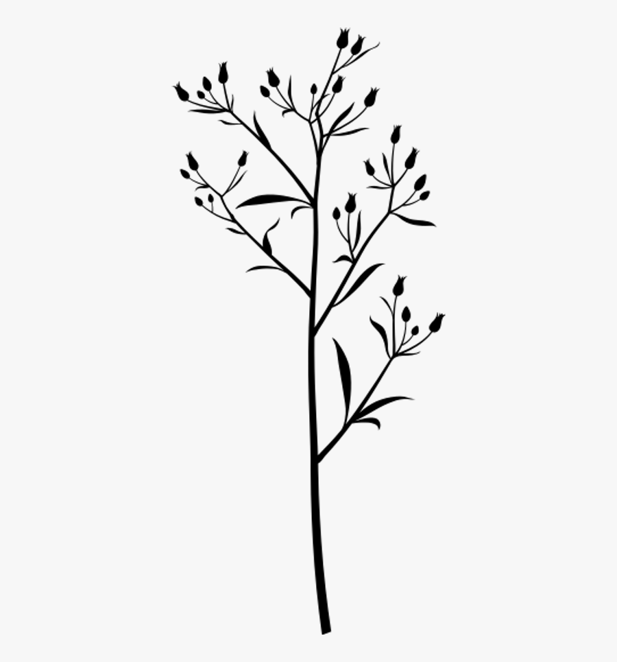 Happy Self Care Saturday, Transparent Clipart