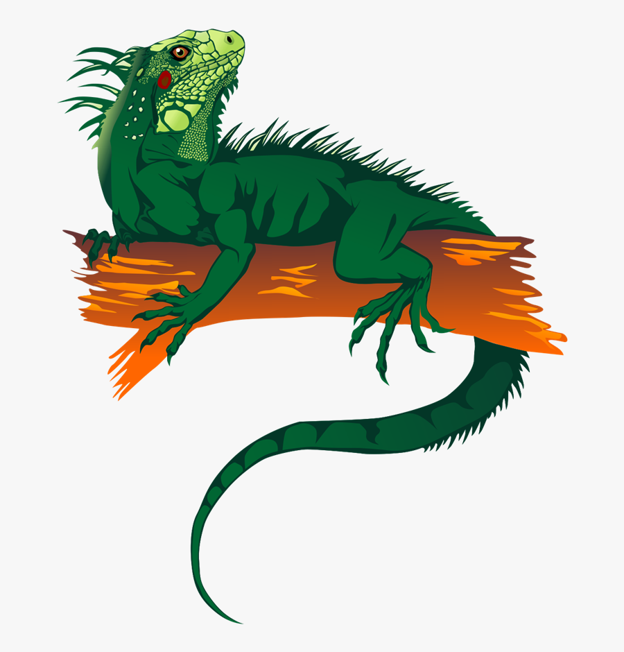Transparent Chameleon Clipart - Cartoon Iguana, Transparent Clipart