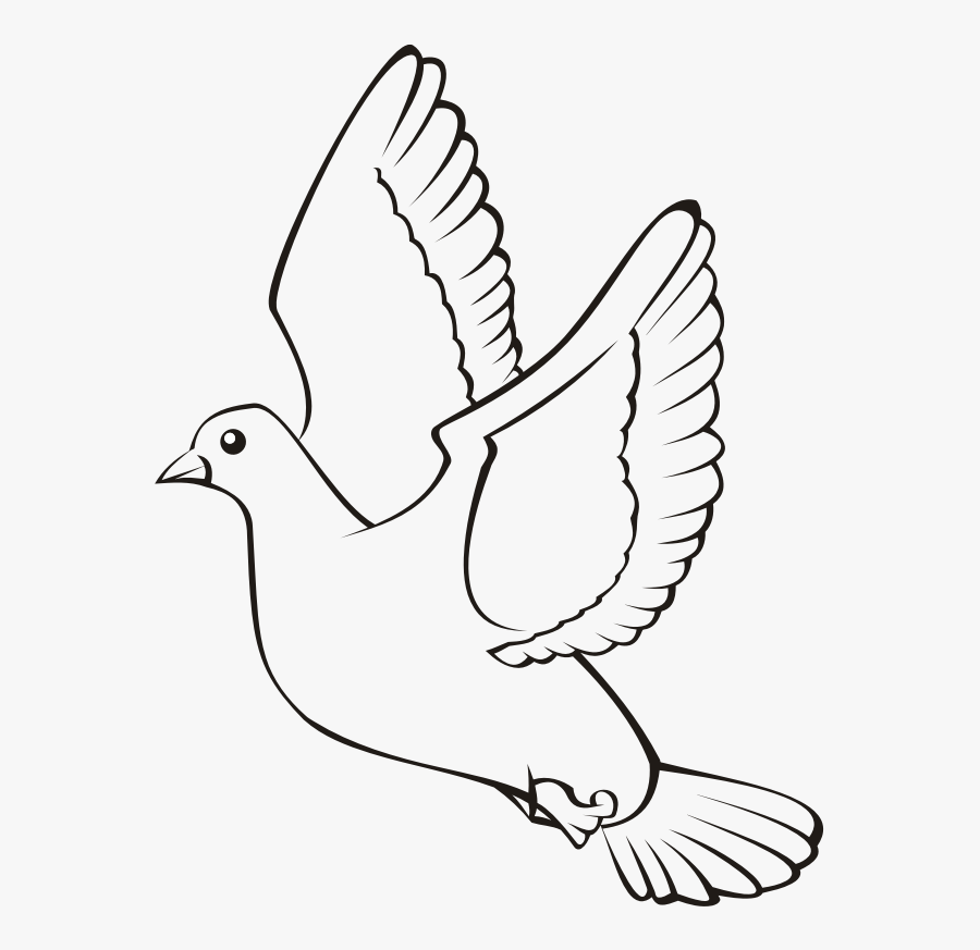 Bird In Flight 4 - Bird Outline Png, Transparent Clipart
