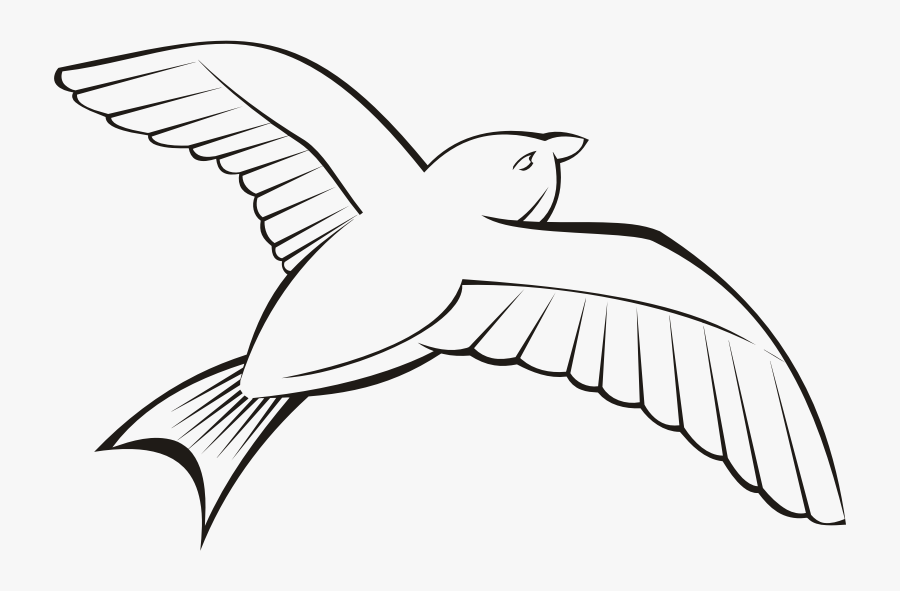 Bird In Flight 6 - Flying Bird Clipart Outline, Transparent Clipart